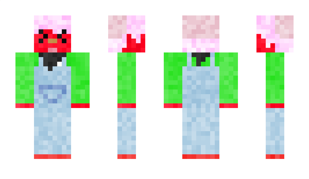 astermeow Minecraft Skin