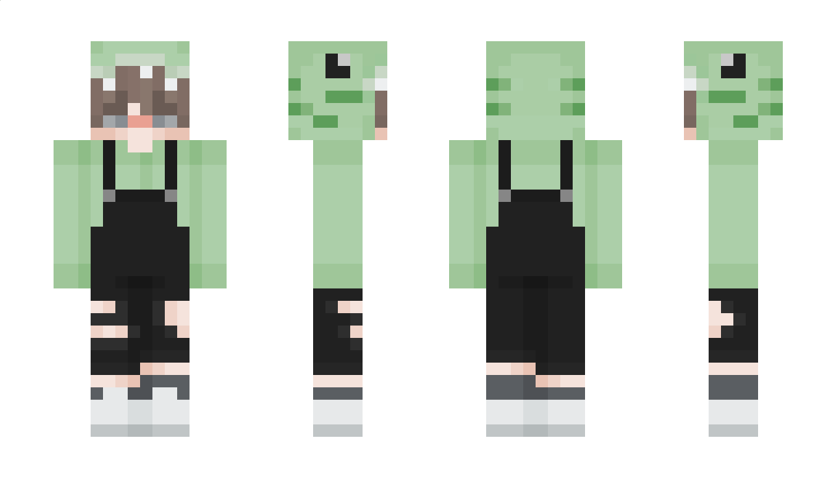 Froggerriffic Minecraft Skin