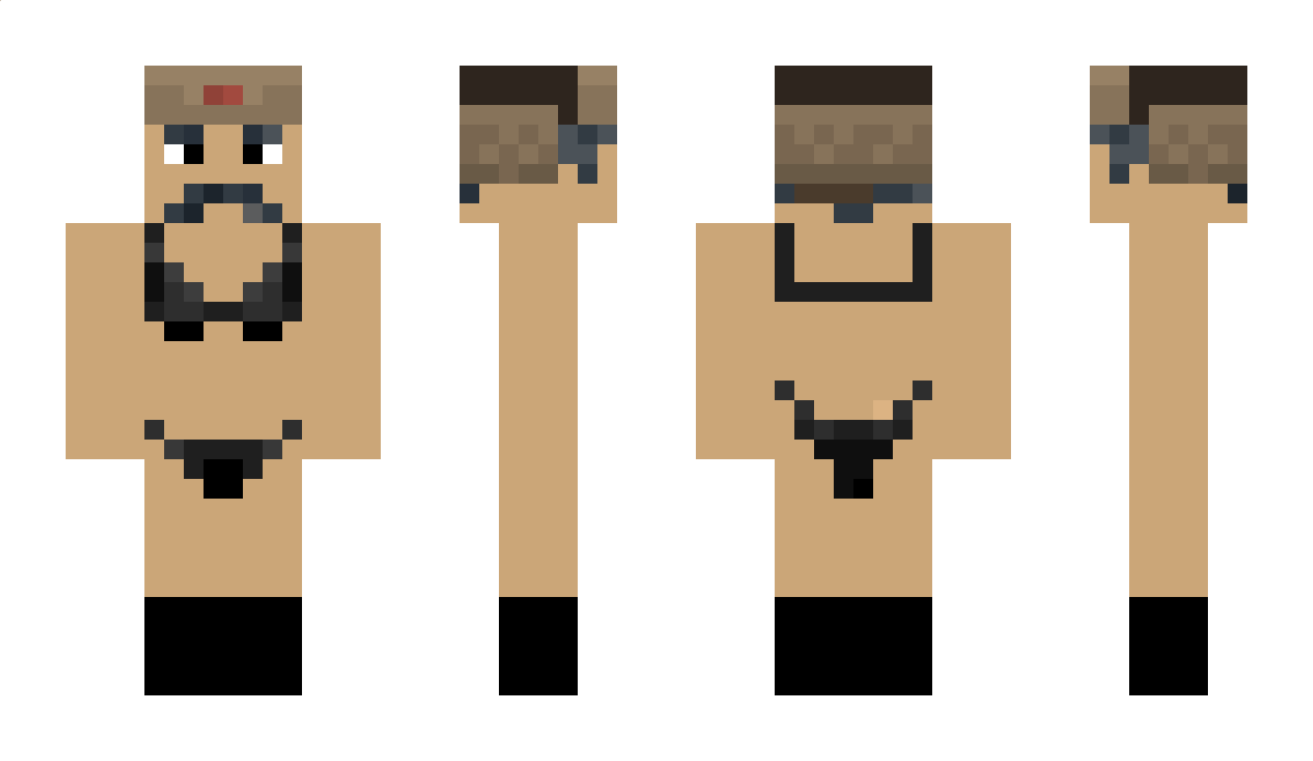 Wahrhaftigkeit Minecraft Skin