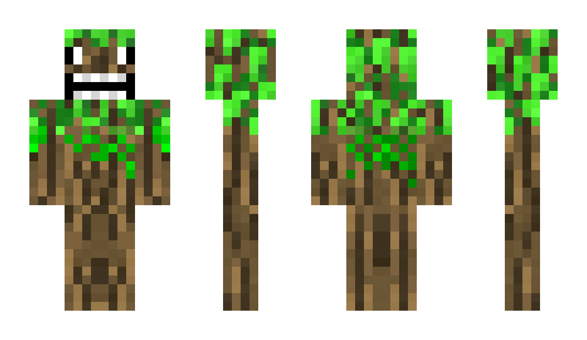 PacificTree Minecraft Skin