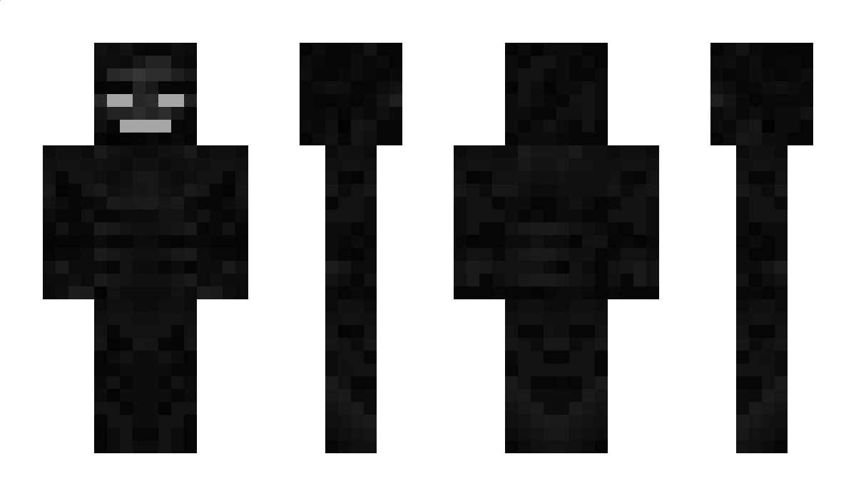 transporter Minecraft Skin