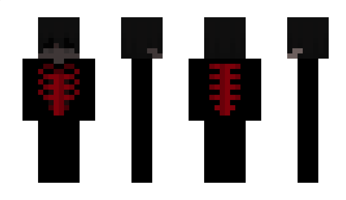 16x64 Minecraft Skin