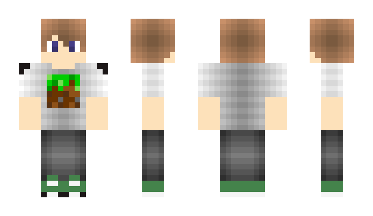 BBLOCK Minecraft Skin