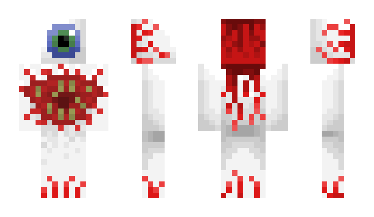 MagpieO5 Minecraft Skin