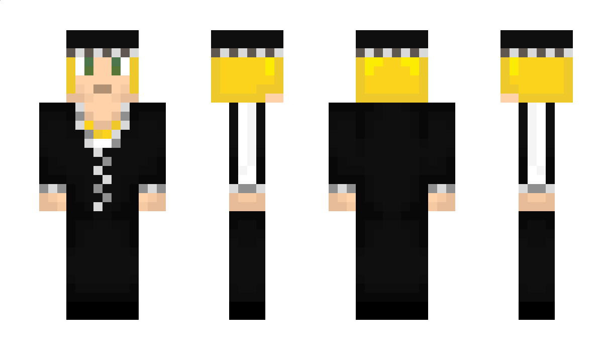 224664627373575 Minecraft Skin