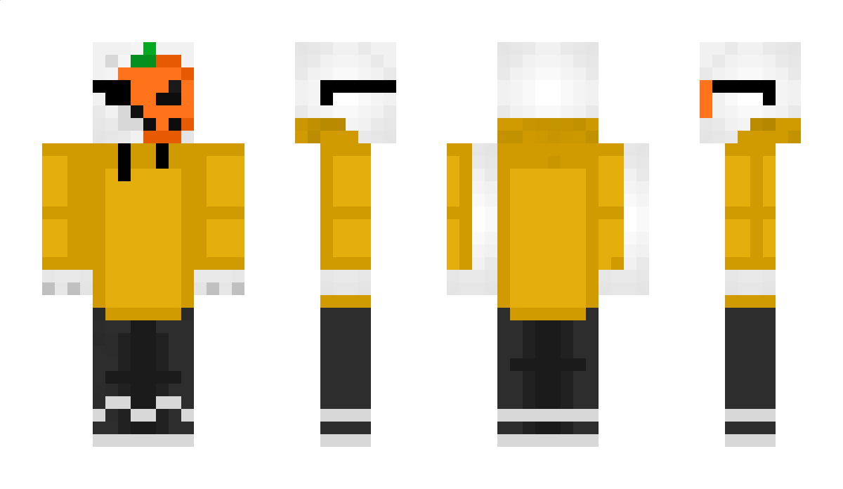 polarbear147 Minecraft Skin