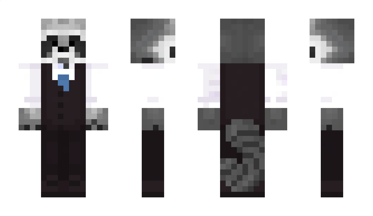 LR64 Minecraft Skin