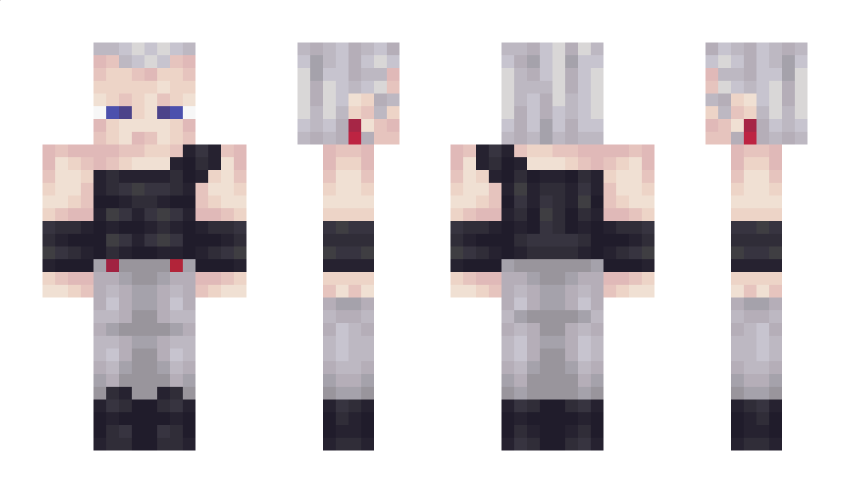 Polnaref Minecraft Skin