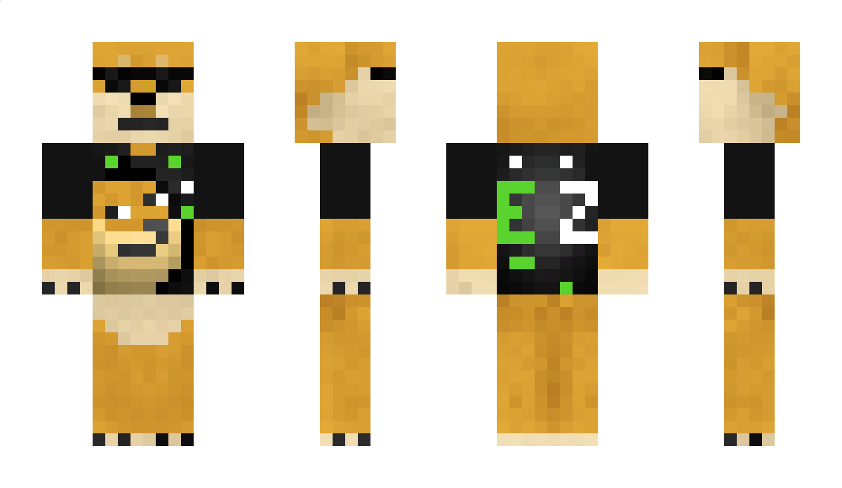 TheDankDinolava Minecraft Skin