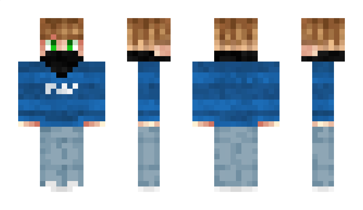 SeemsNayst Minecraft Skin