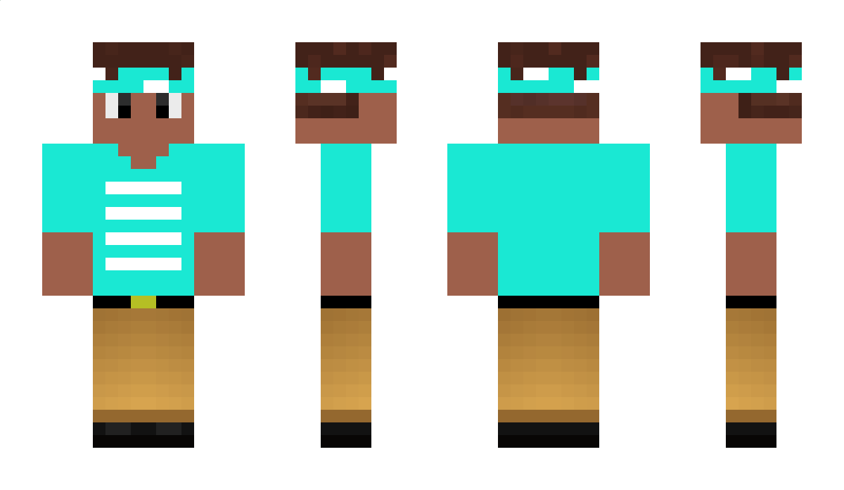 Lawsuit Minecraft Skin