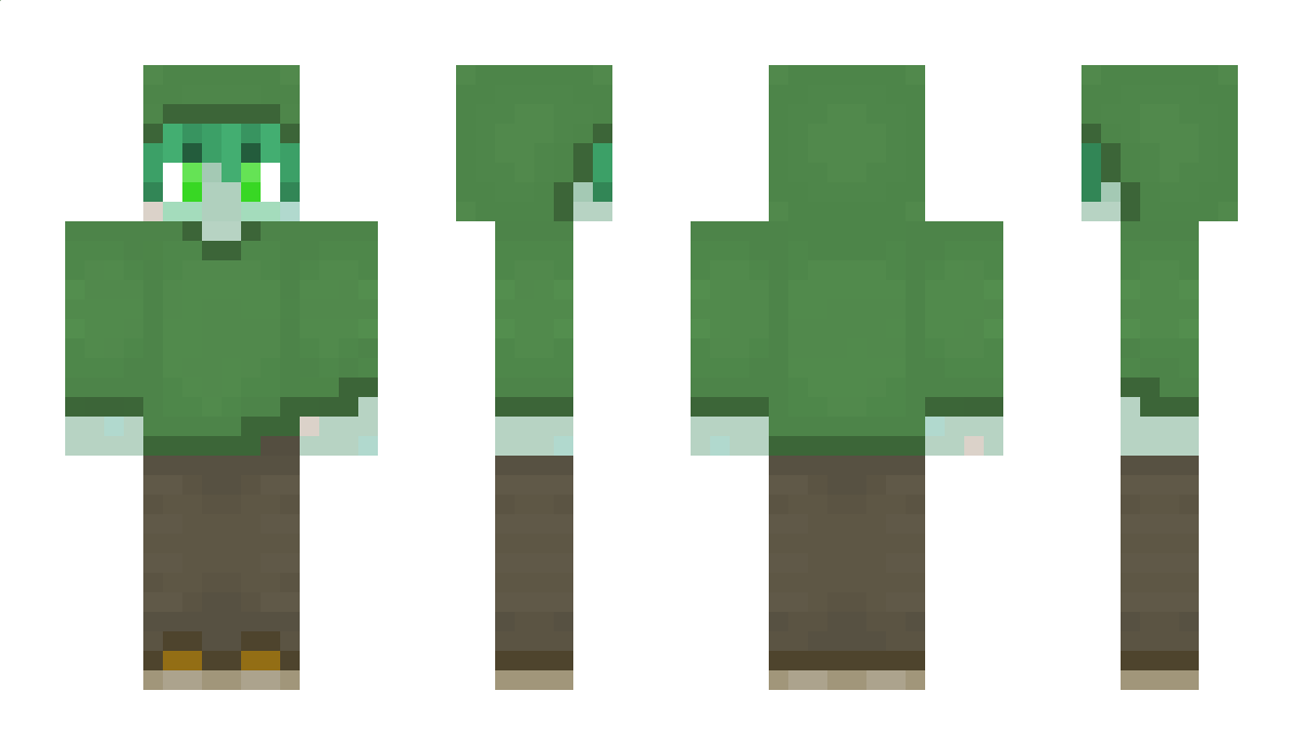 brok243 Minecraft Skin