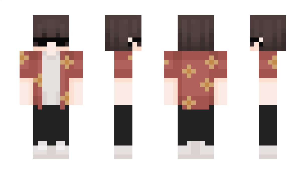 vdzo Minecraft Skin