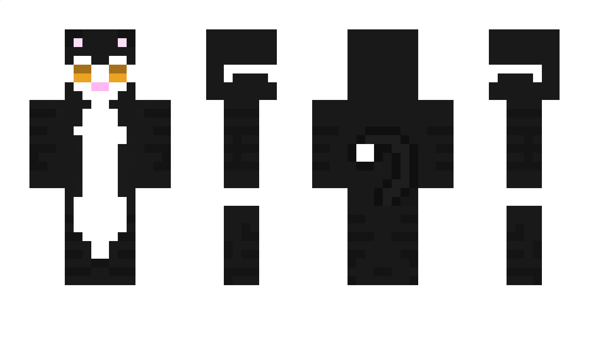 212k Minecraft Skin