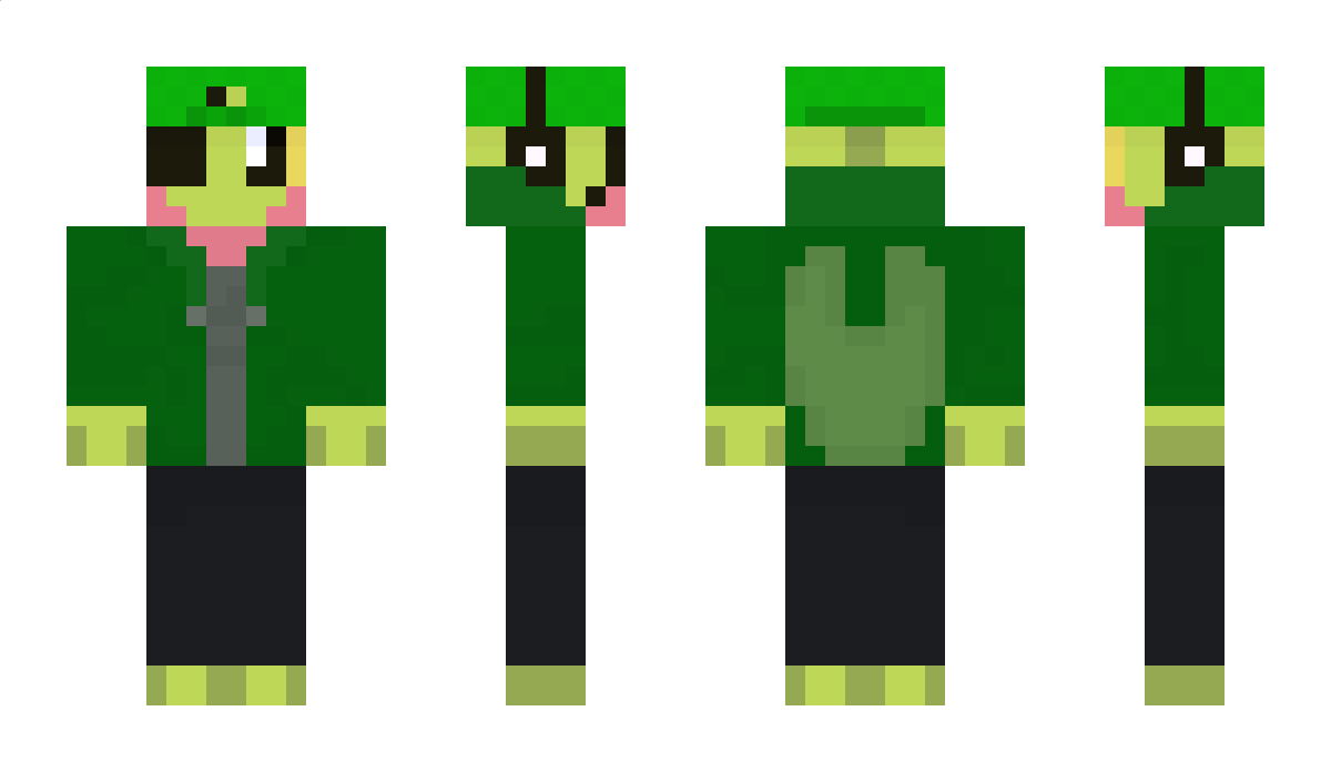 ChibiTreecko Minecraft Skin