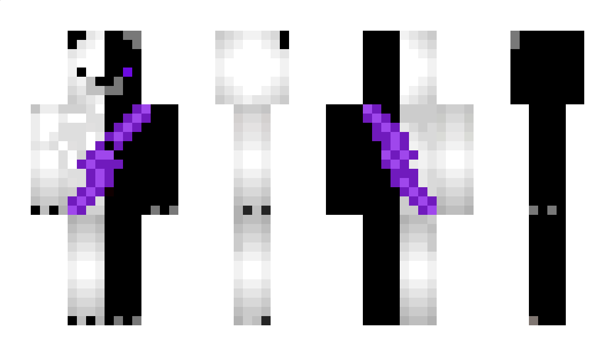 Darkpolar_13 Minecraft Skin