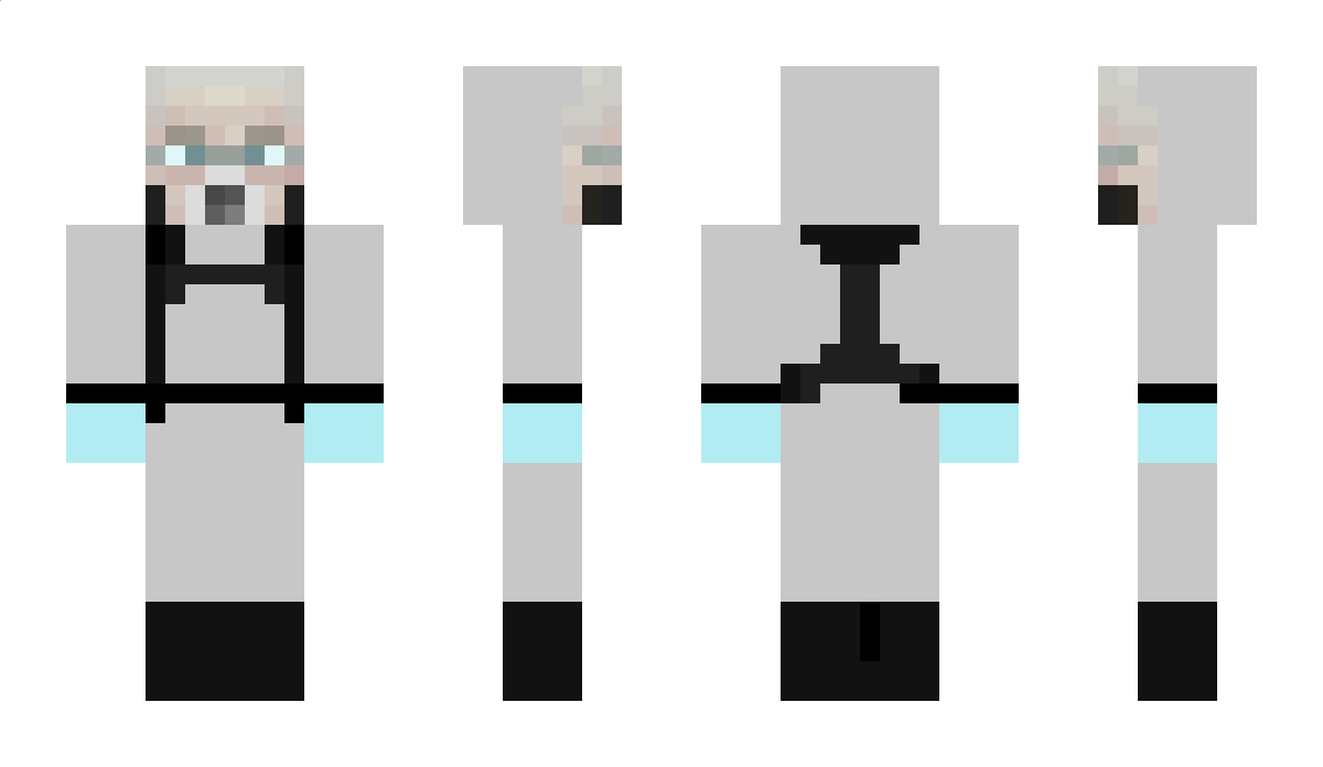 modpuc_premium Minecraft Skin