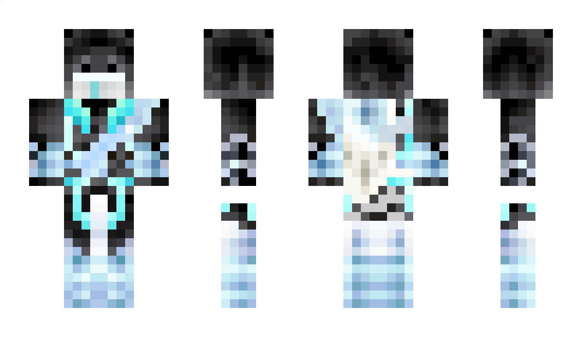 Dinnerbone4995 Minecraft Skin