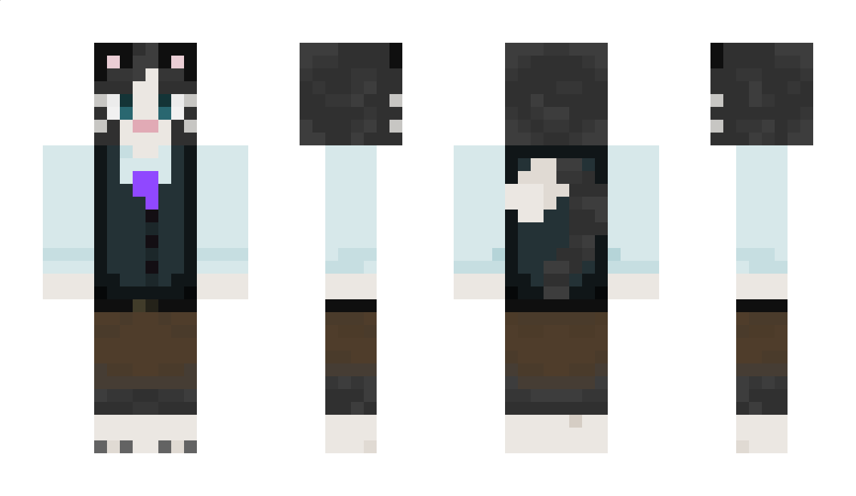 Tomerfil Minecraft Skin