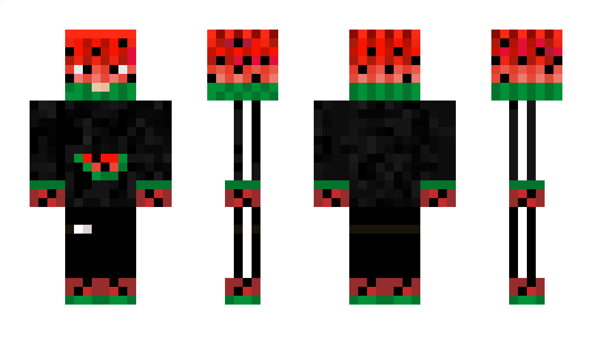 Mesure73L Minecraft Skin