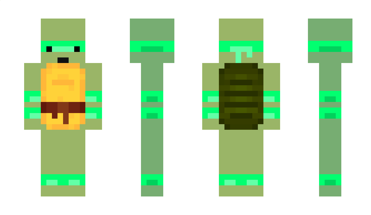 TurtleDude1506 Minecraft Skin