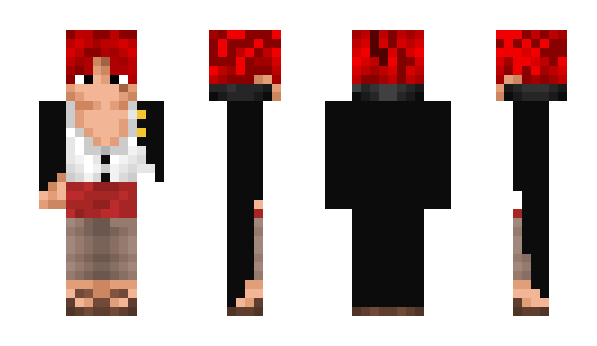 dr4gonsage17 Minecraft Skin