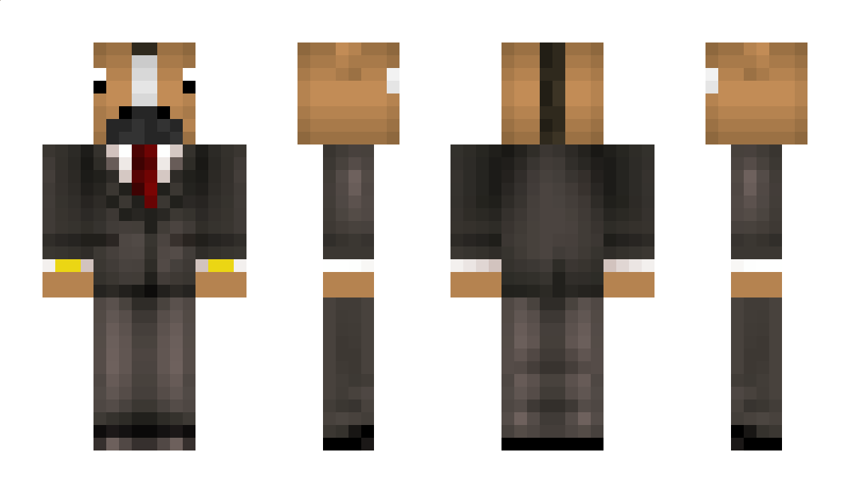 Glitchh Minecraft Skin