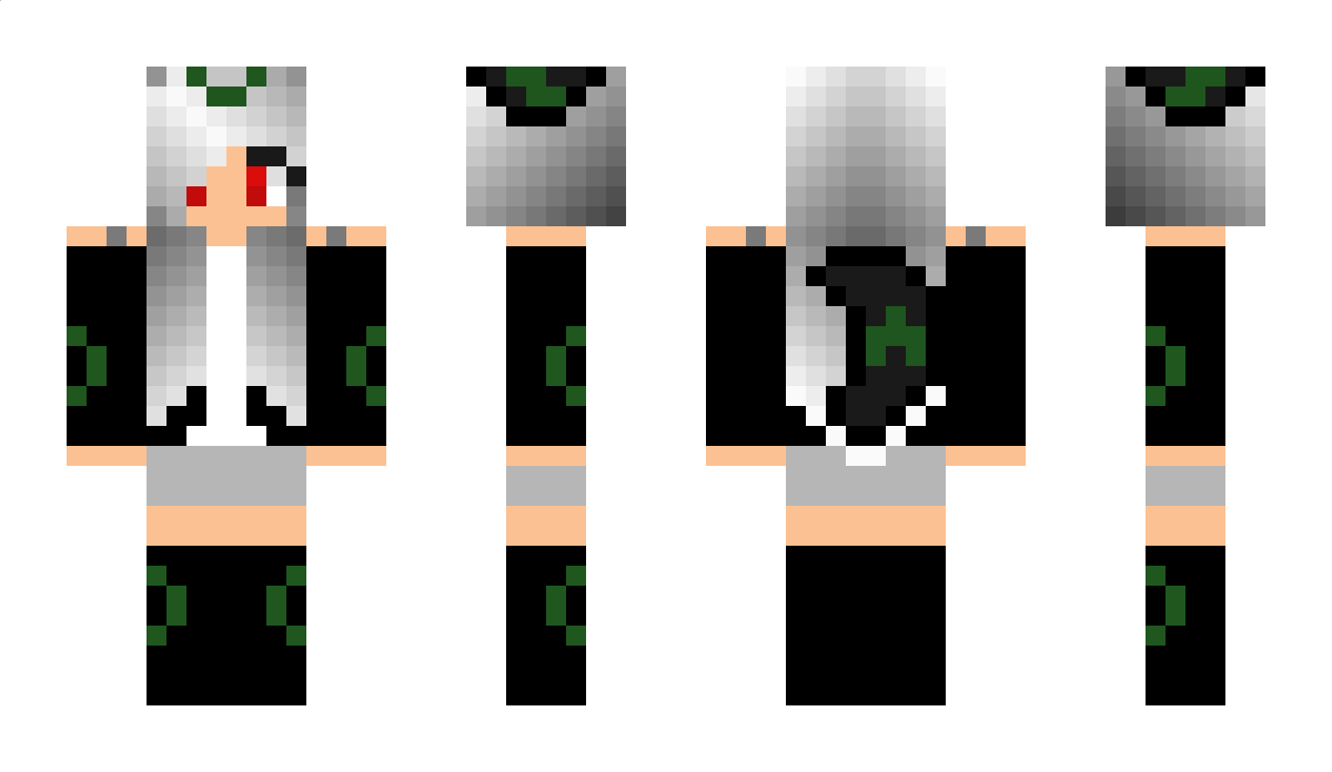 aikocraft Minecraft Skin