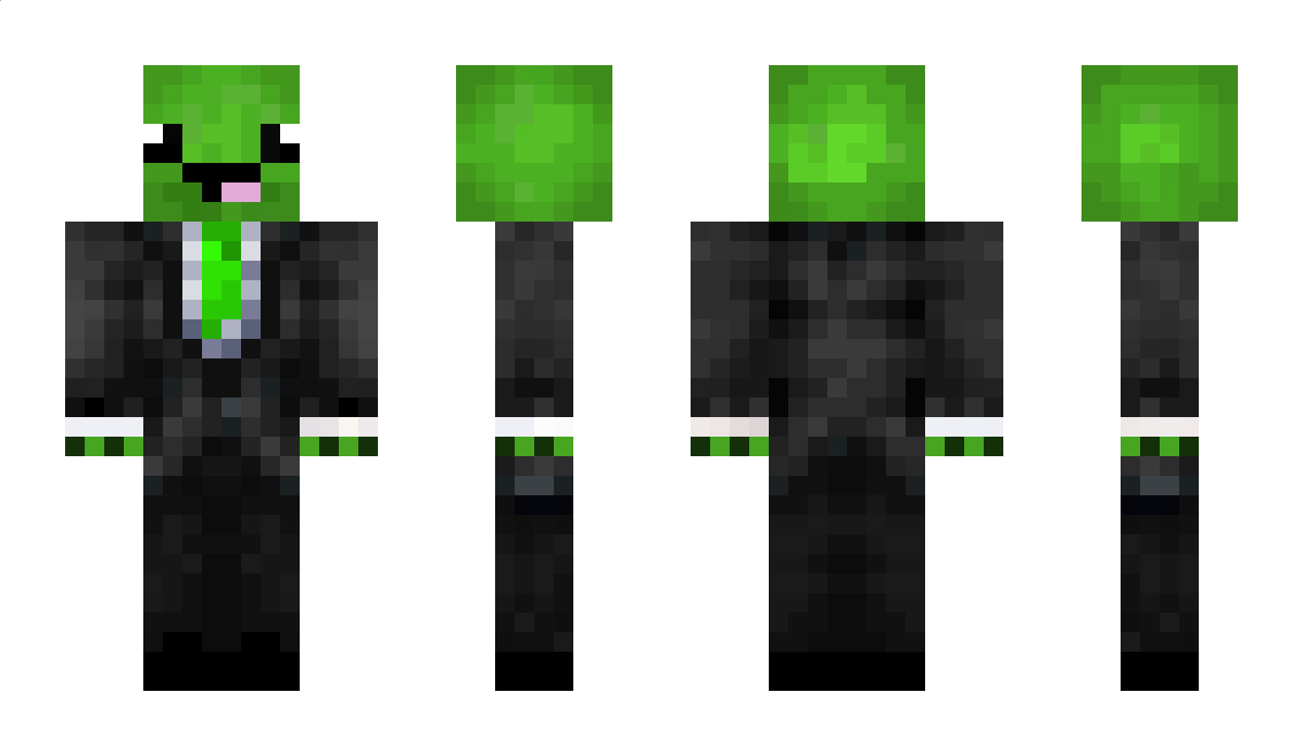 SuperTurtleOMGG Minecraft Skin