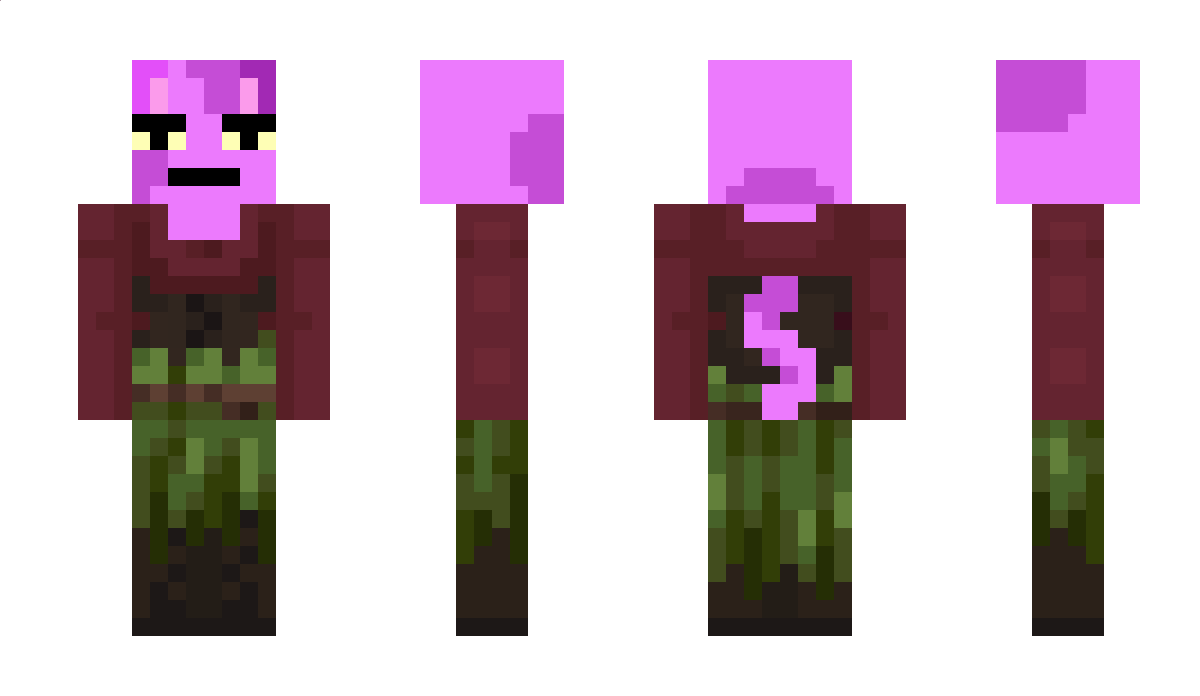 bu3k Minecraft Skin