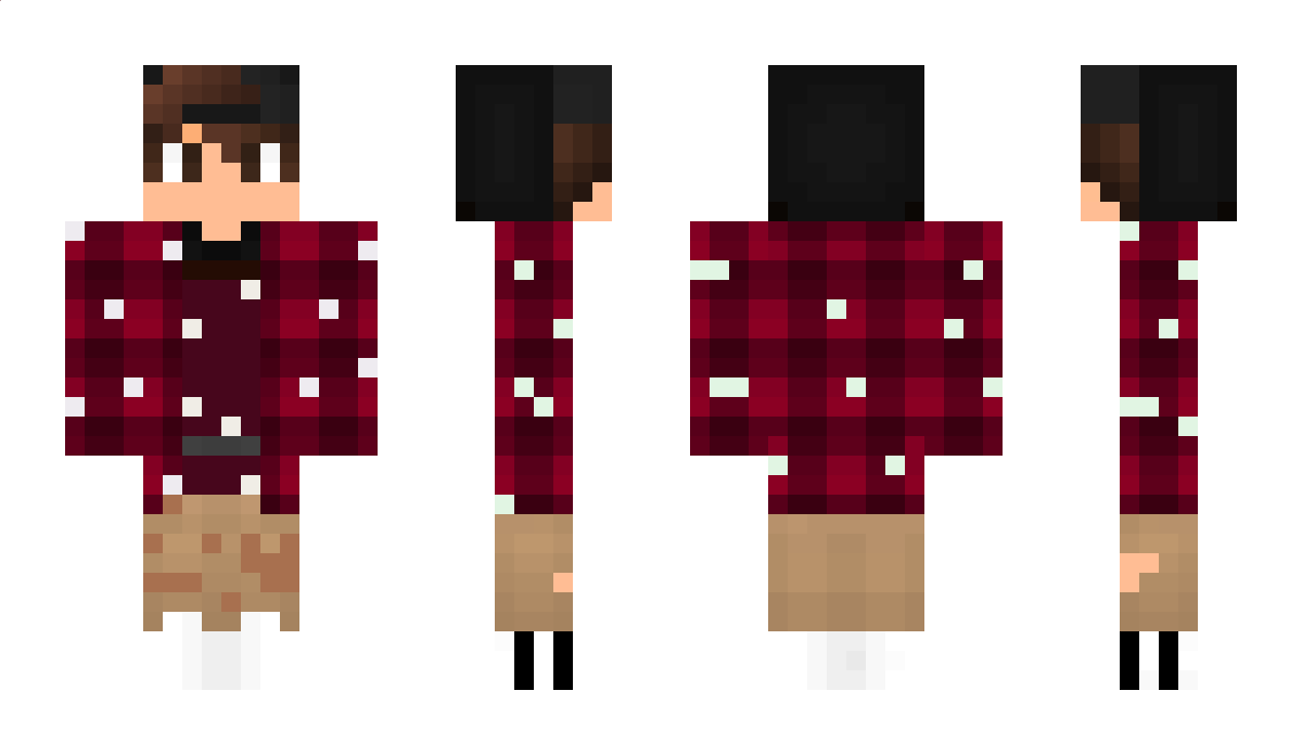 TomChampignon Minecraft Skin