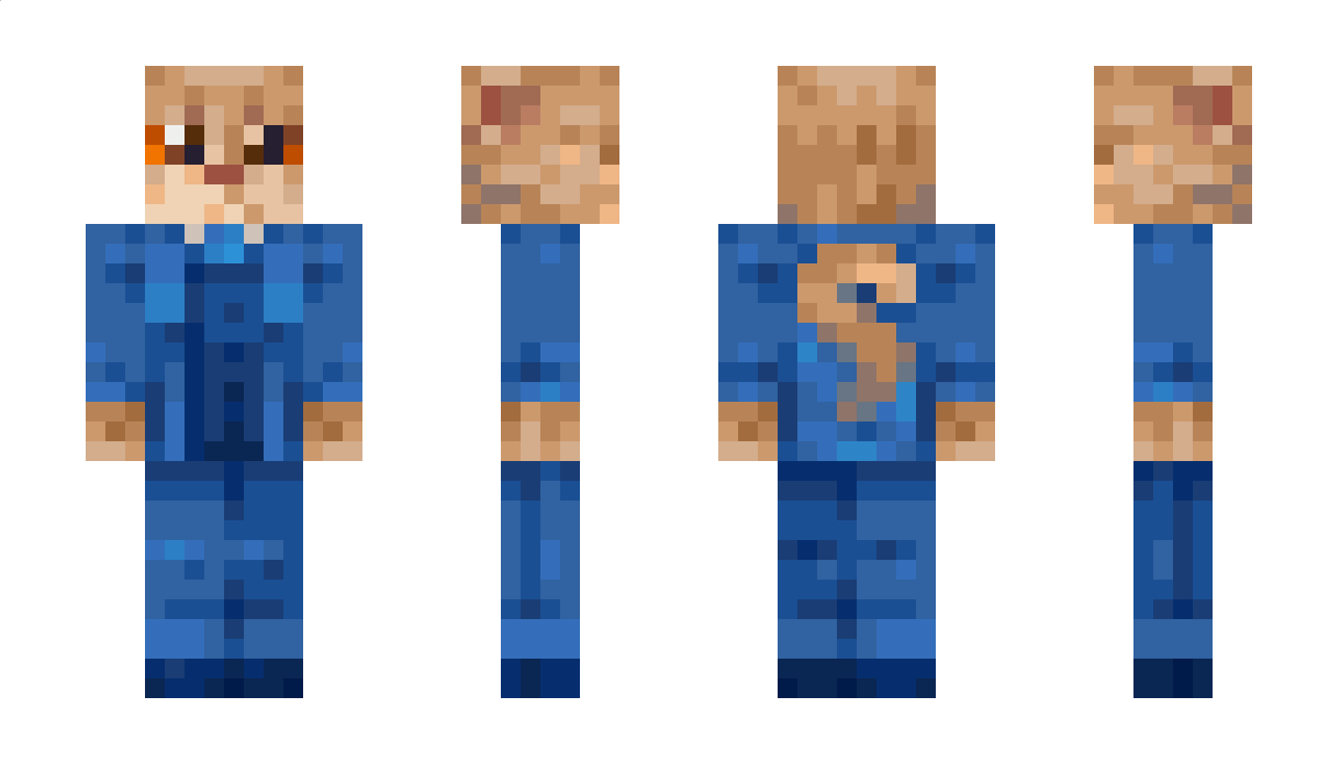 NikoWg Minecraft Skin