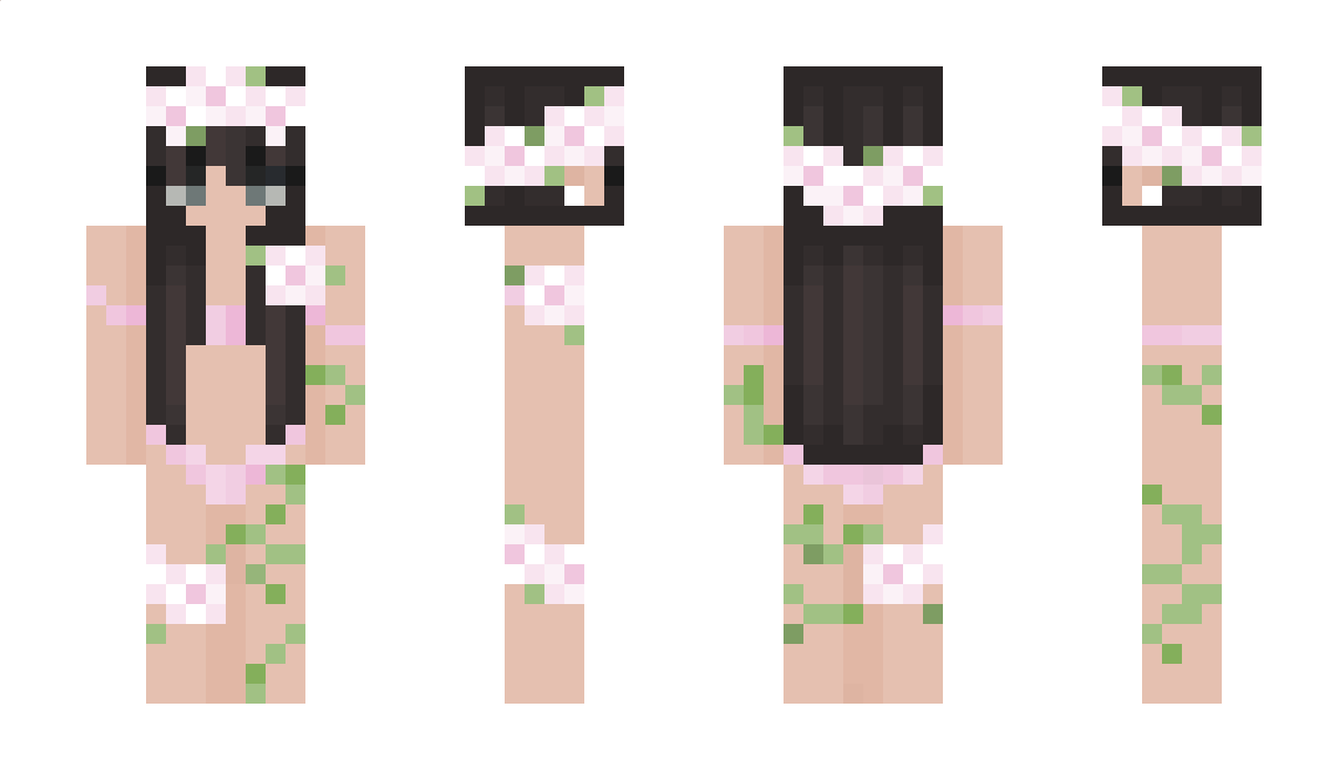 DandESuperTeam Minecraft Skin