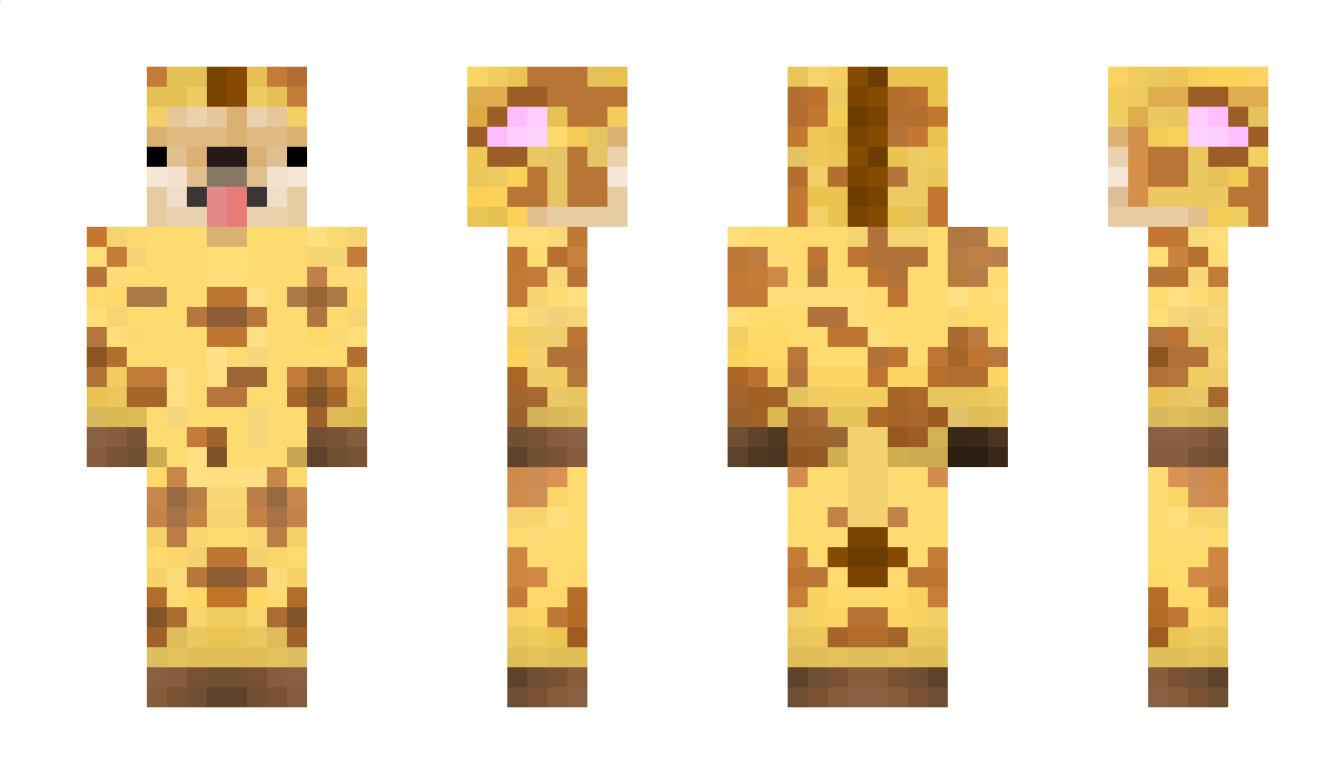 Akishiok Minecraft Skin