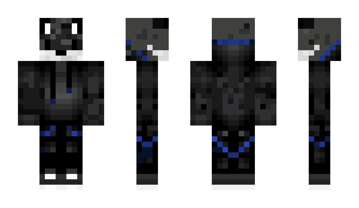 Winsl0coyote Minecraft Skin