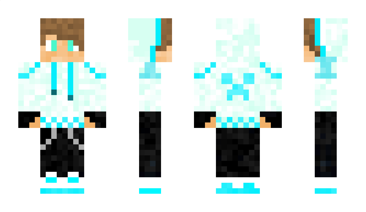 SrSalsa Minecraft Skin