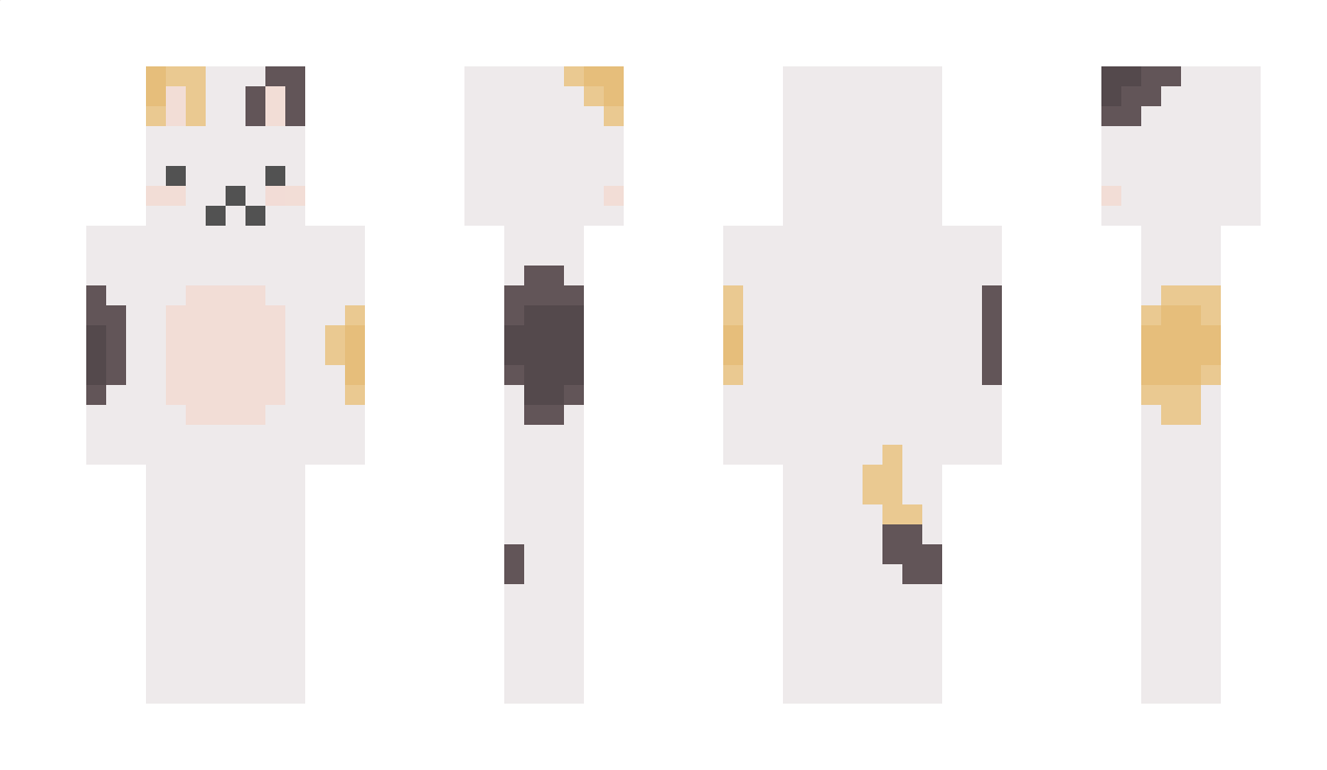 Shaybeea Minecraft Skin