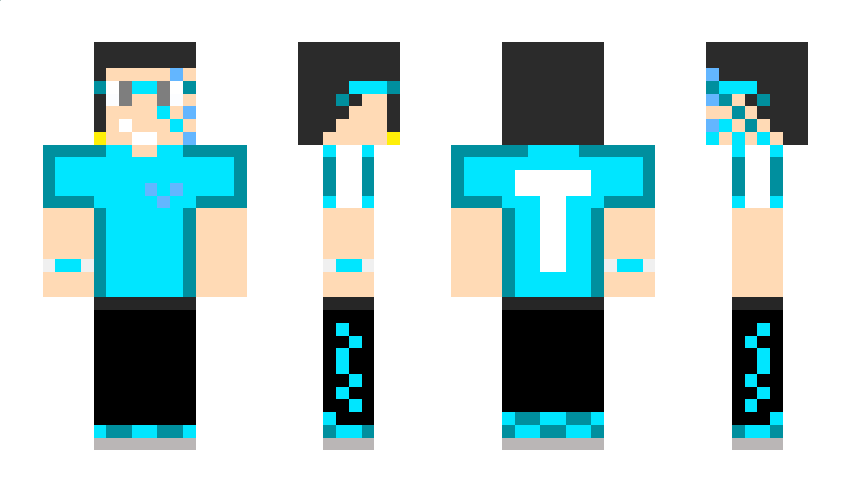 Evolsam Minecraft Skin