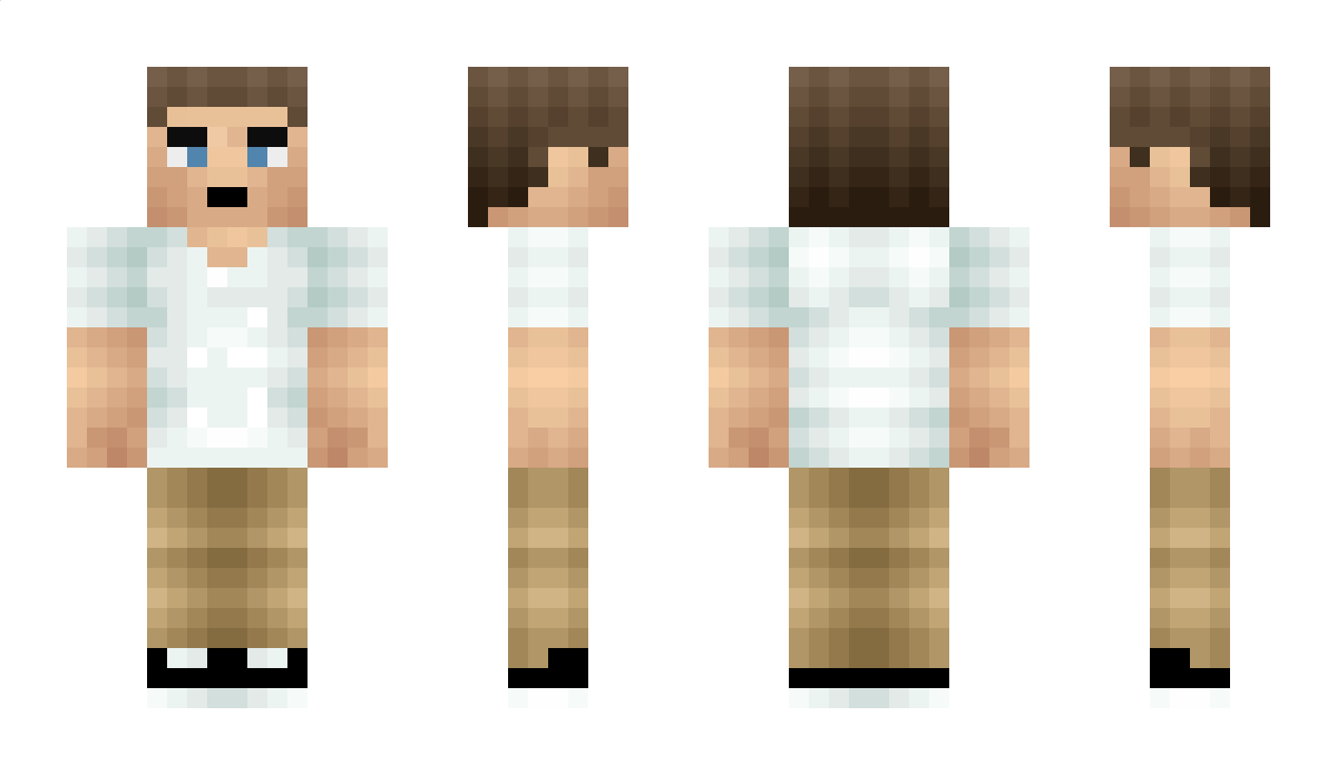 Influlenzer Minecraft Skin