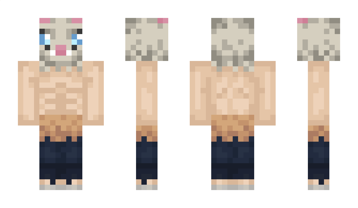 TikToker Minecraft Skin