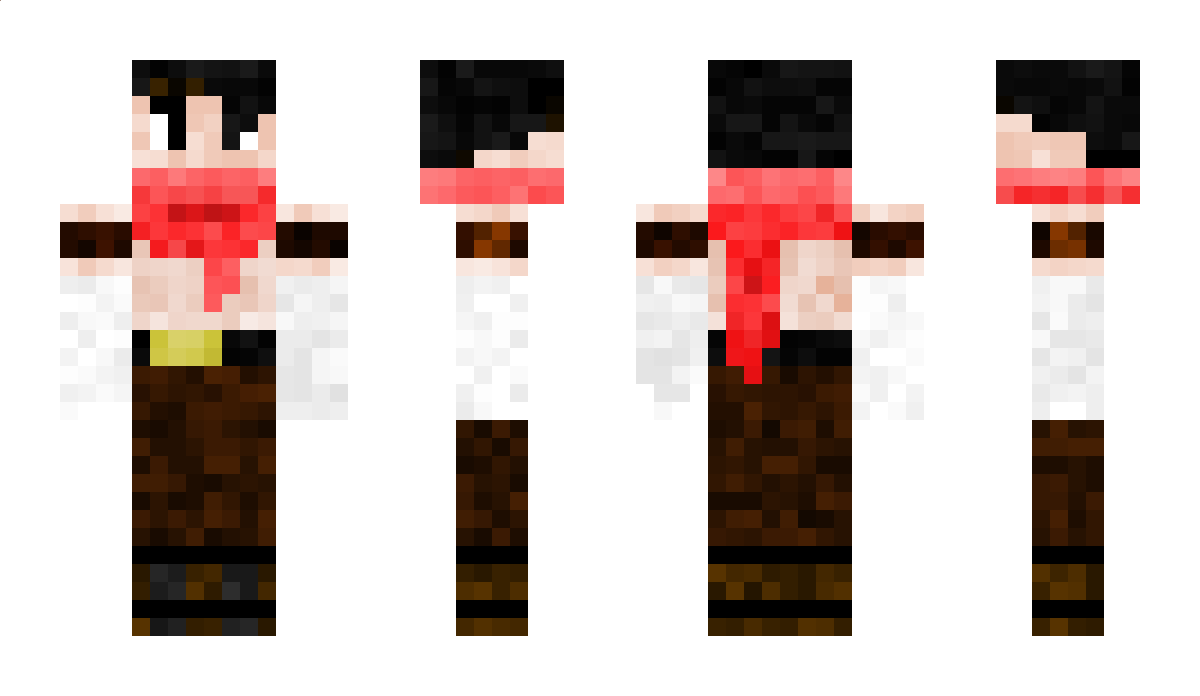 DW_17 Minecraft Skin