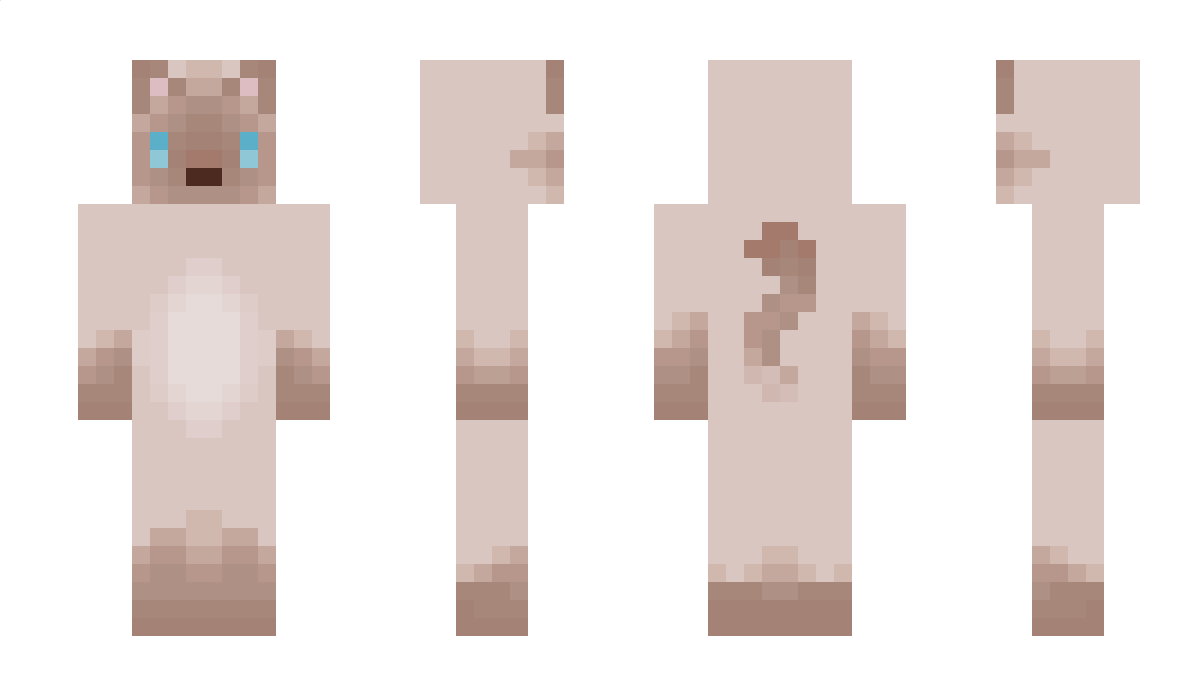 VCPR Minecraft Skin