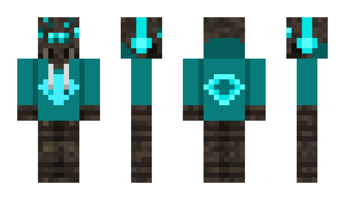 diamondspider12 Minecraft Skin