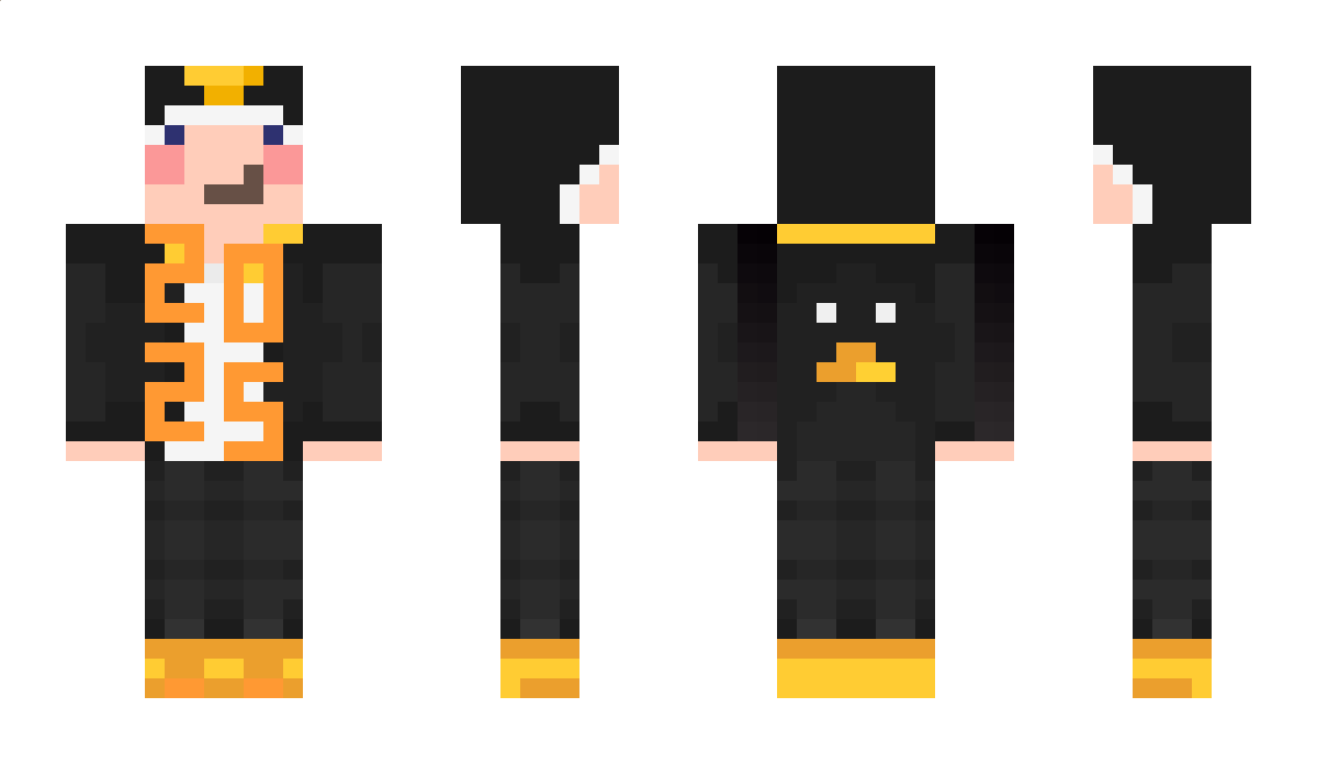 PENGUIN010 Minecraft Skin