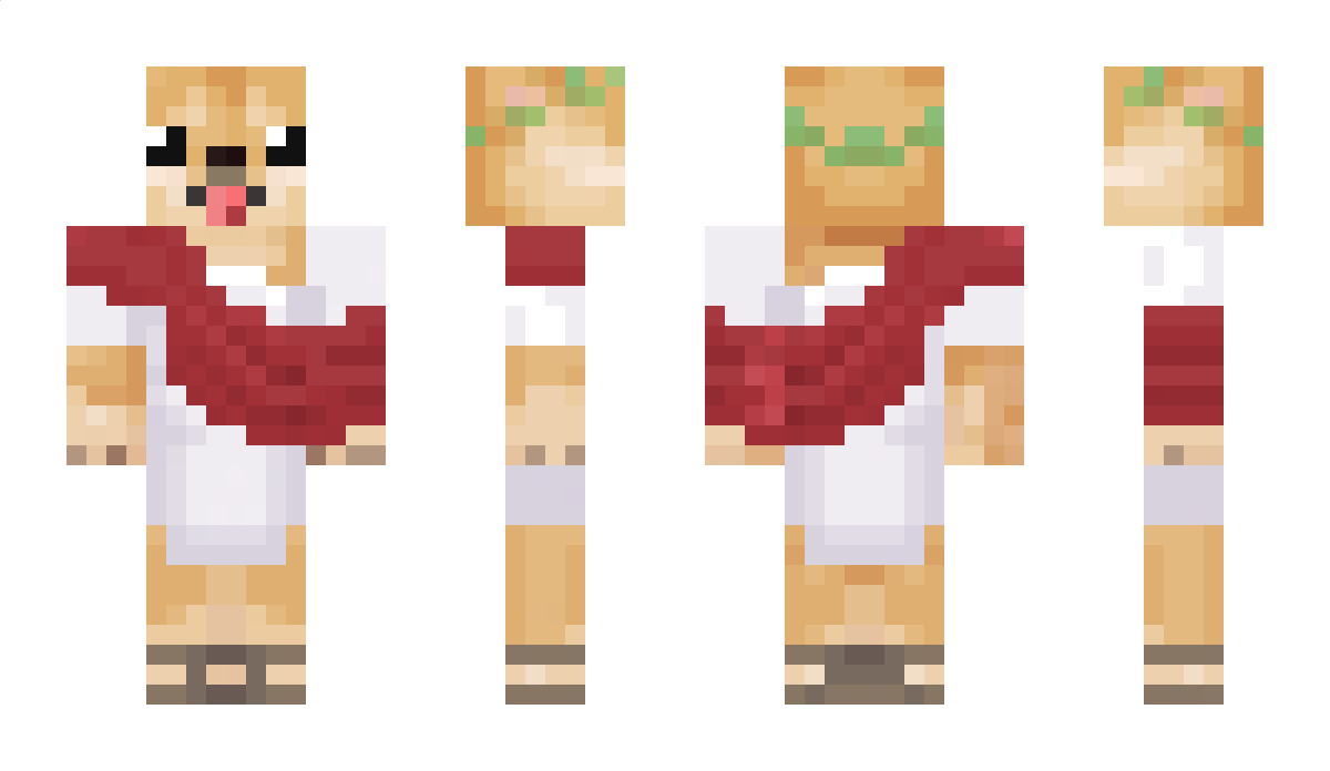 RDM_Chinczyk Minecraft Skin