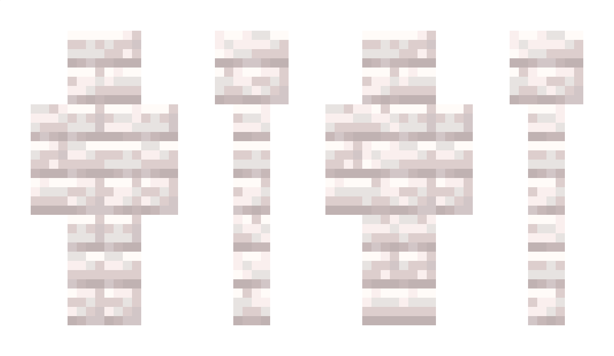 2_s_ Minecraft Skin