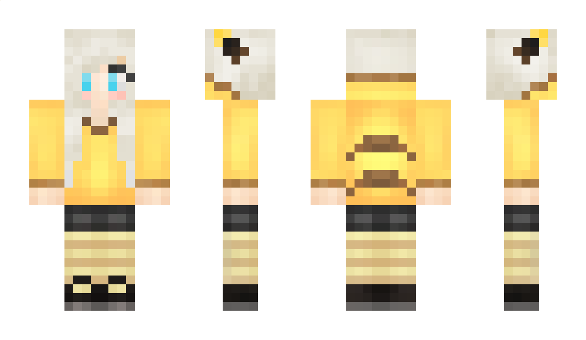 HSH Minecraft Skin