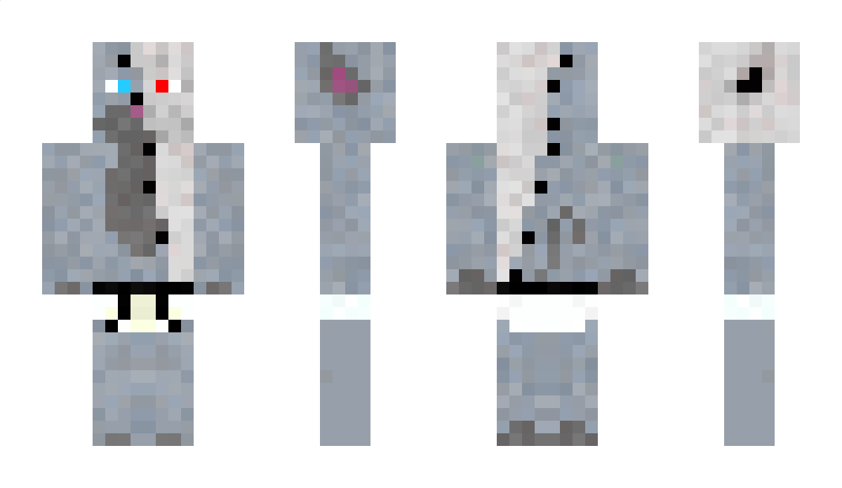 Robo Minecraft Skin