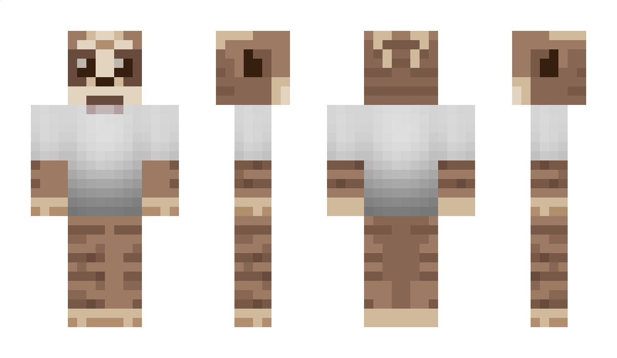 DoggedCoin Minecraft Skin