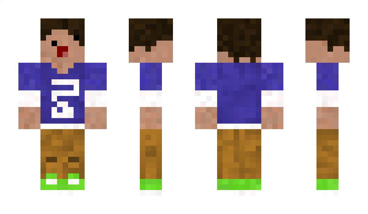 Variot Minecraft Skin